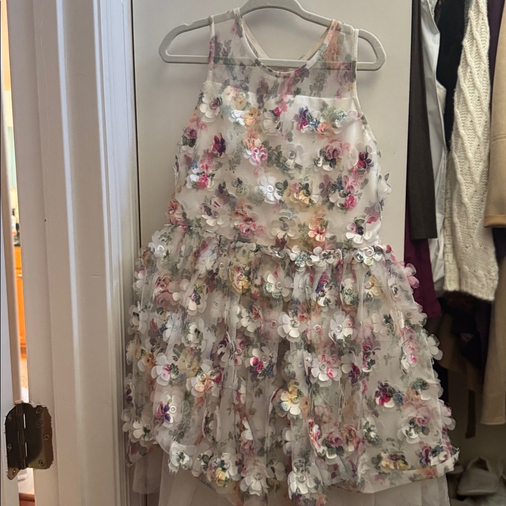 Floral 3D Applique Dress